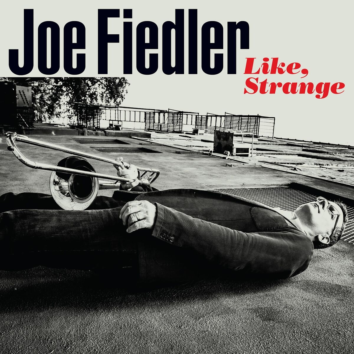 Album cover of Like, Strange
