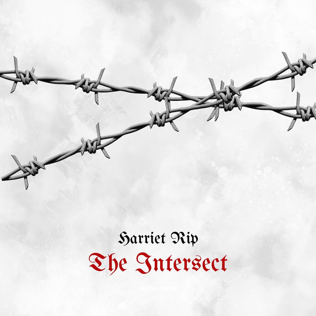 Album cover of The Intersect