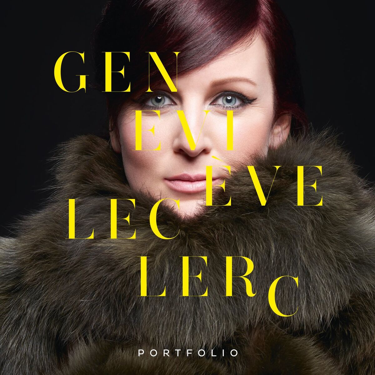 Album cover of Portfolio