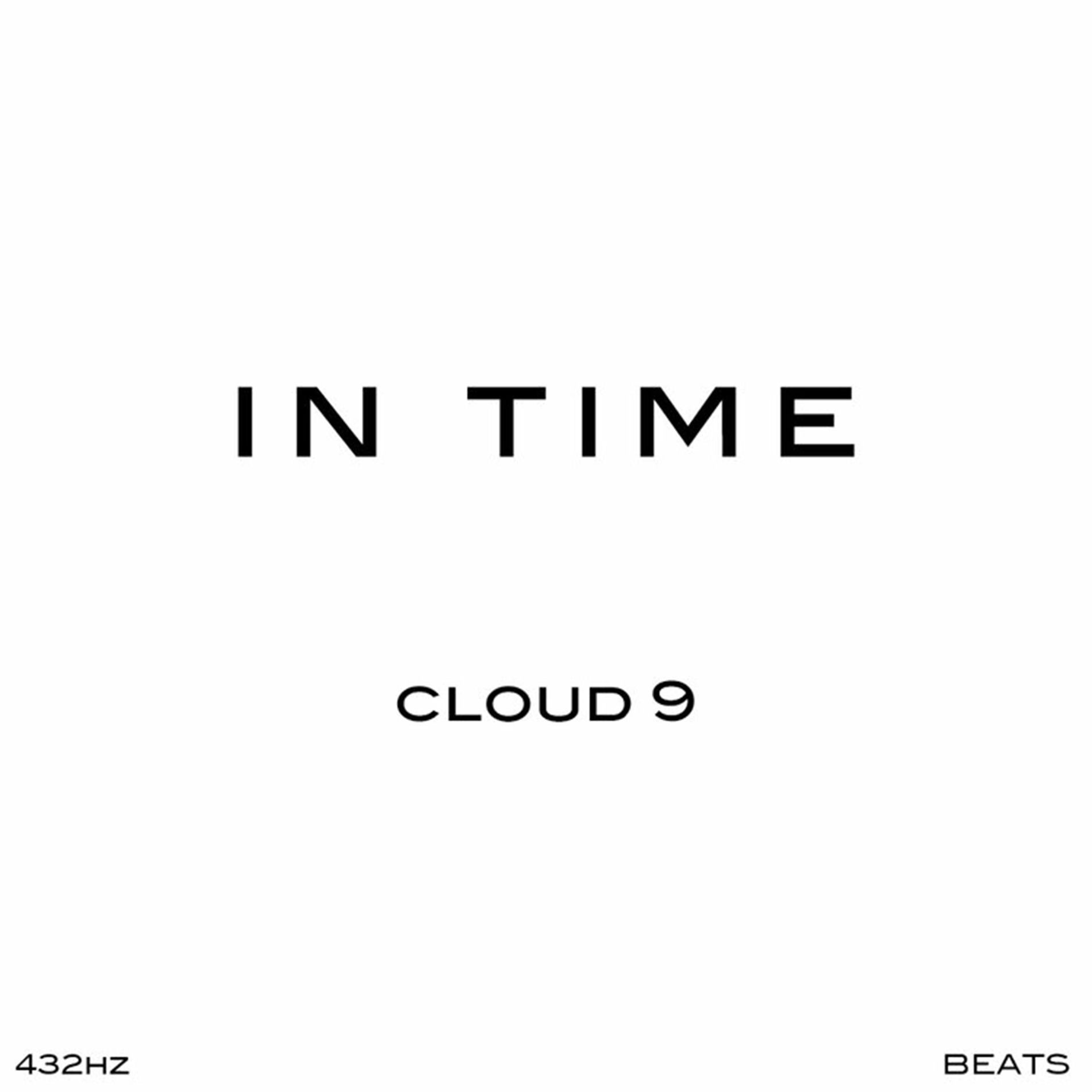 Album cover of IN TIME BEATS