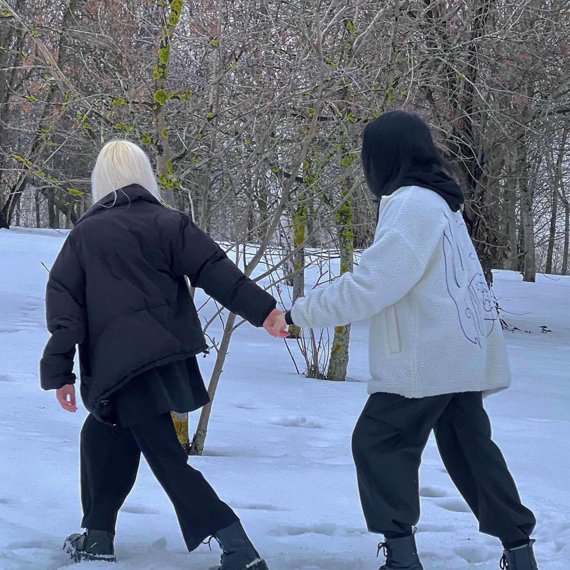 Album cover of север