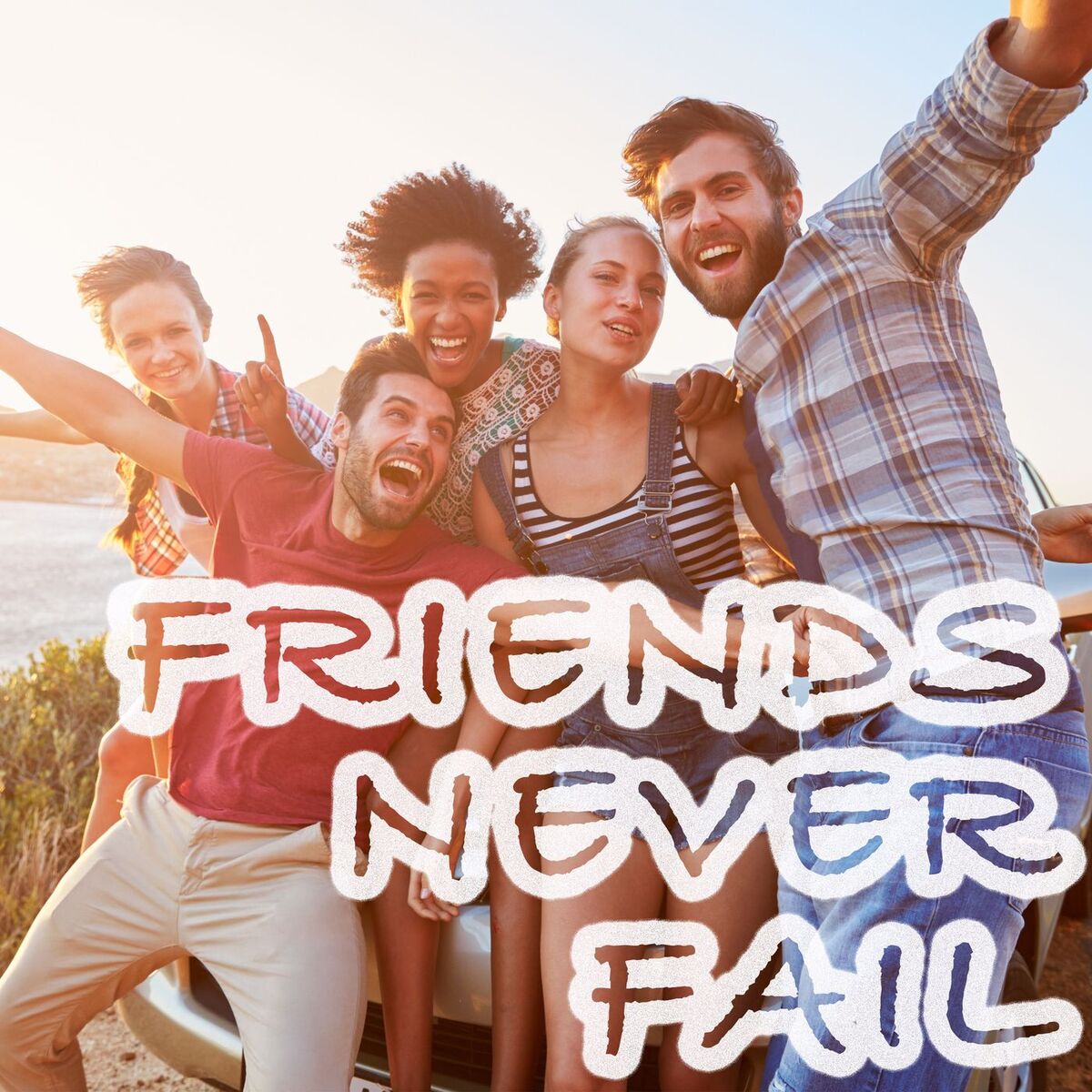 Album cover of Friends Never Fail