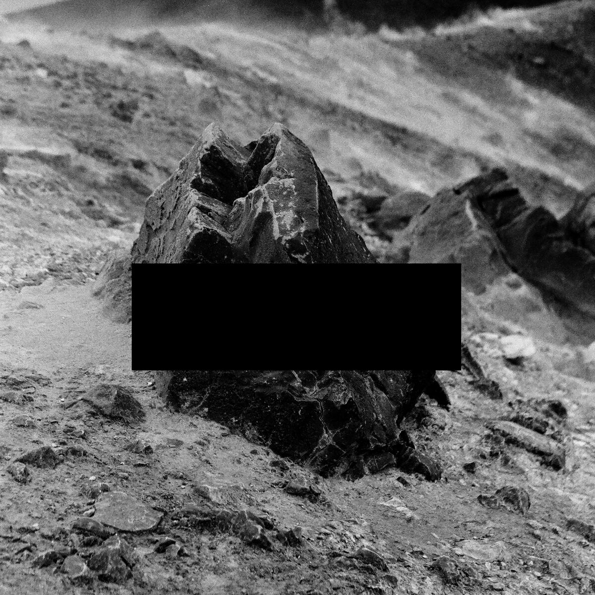 Album cover of Spectre