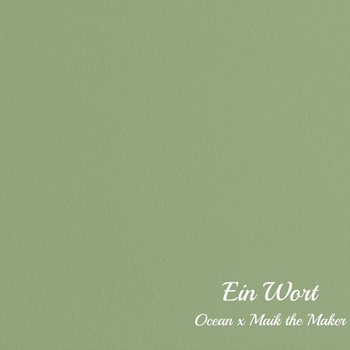 Album cover of Nur Ein Wort