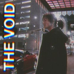 Cover of The Void