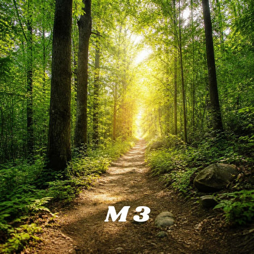 My Path
