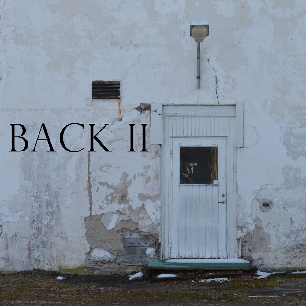 Picture of BACK II