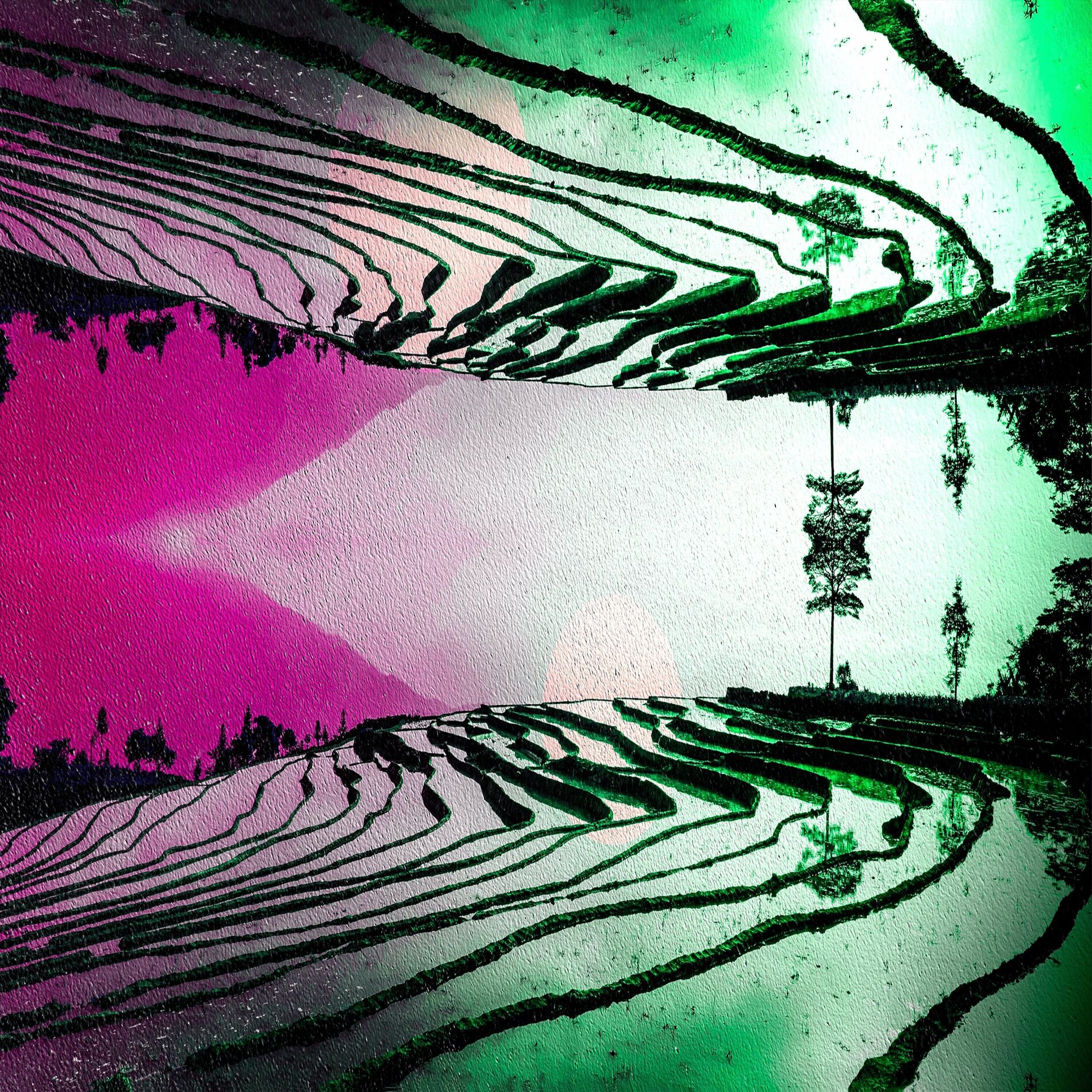 Album cover of La Dune aux épaves