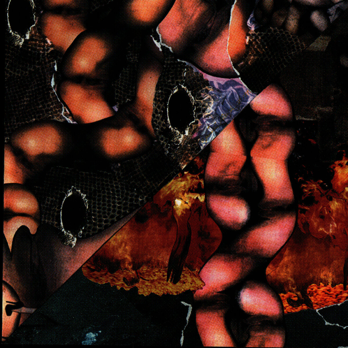 Album cover of Origin Of The Species Volume Too! - Third Tablet Of Acid