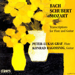Cover of Transcriptions for Flute & Guitar
