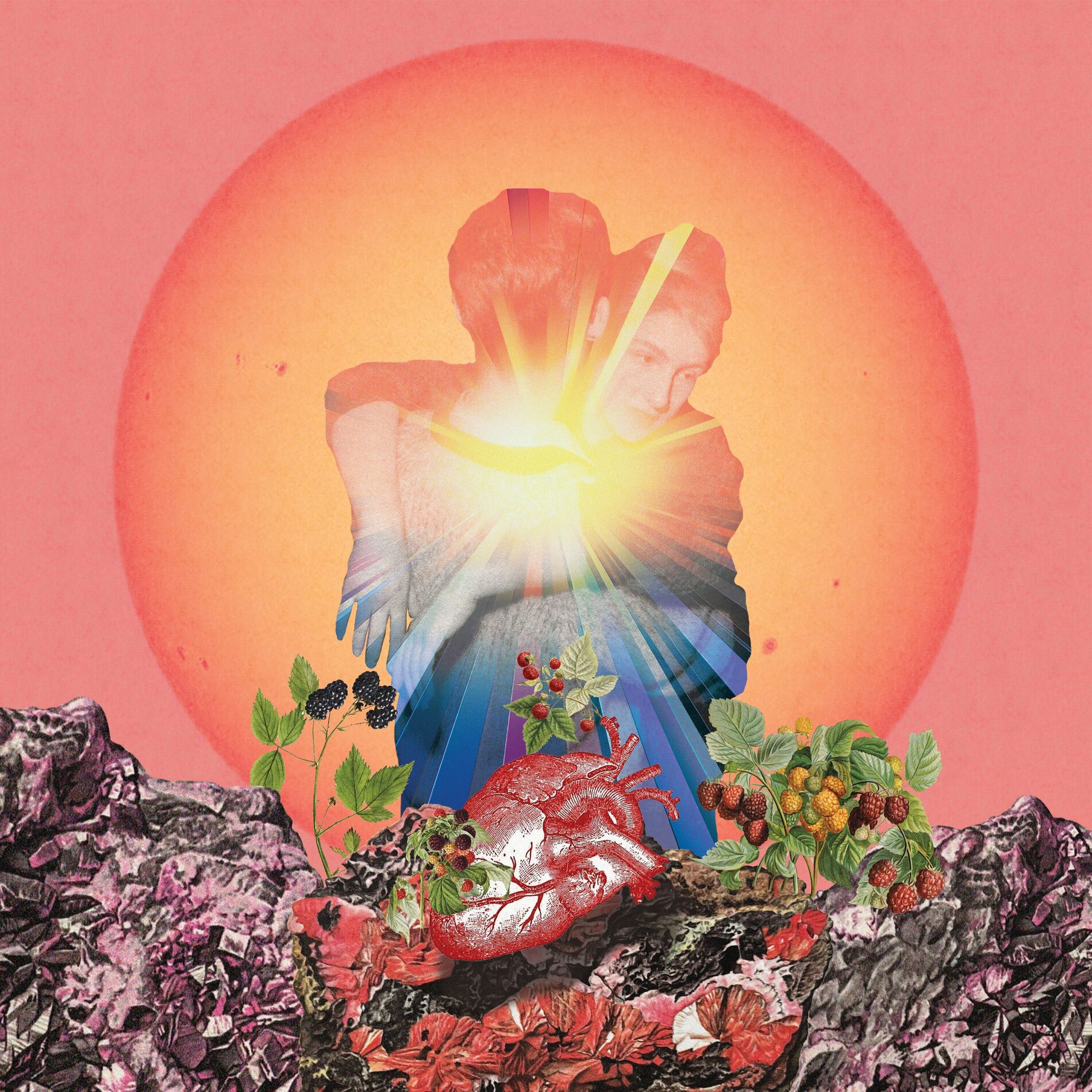 Album cover of Fièvre humaine
