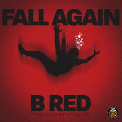 Cover of Fall Again