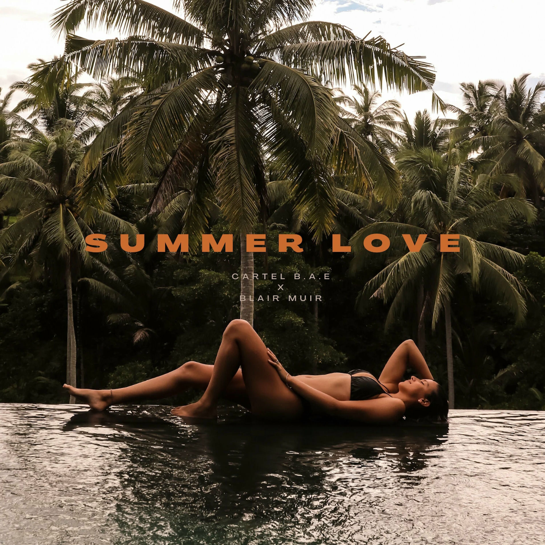 Album cover of Summer Love