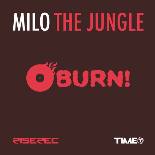 Jungle of Mirror