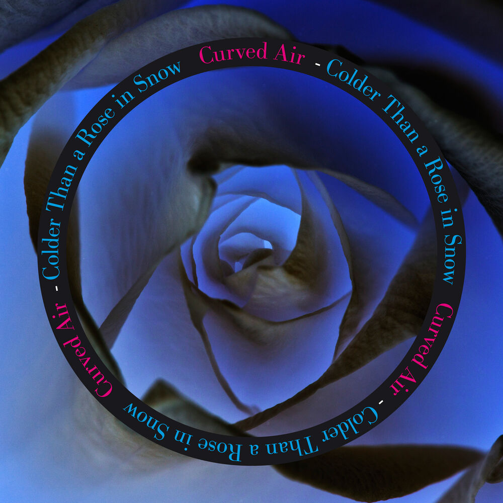 Picture of Colder Than a Rose in Snow