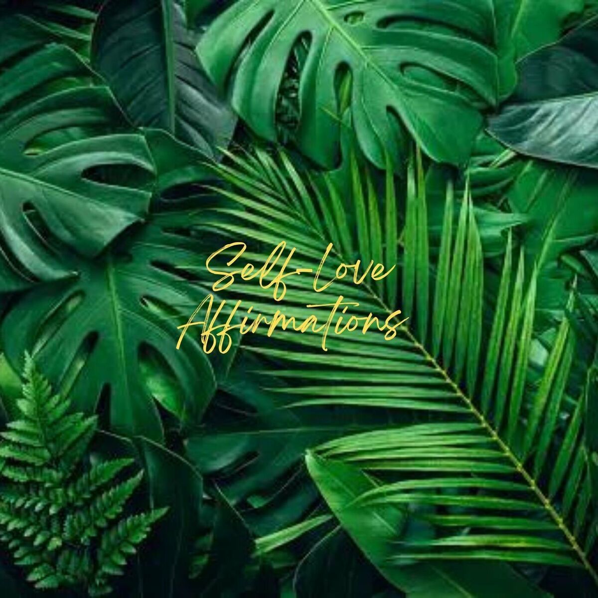 Album cover of Self Love Affirmations