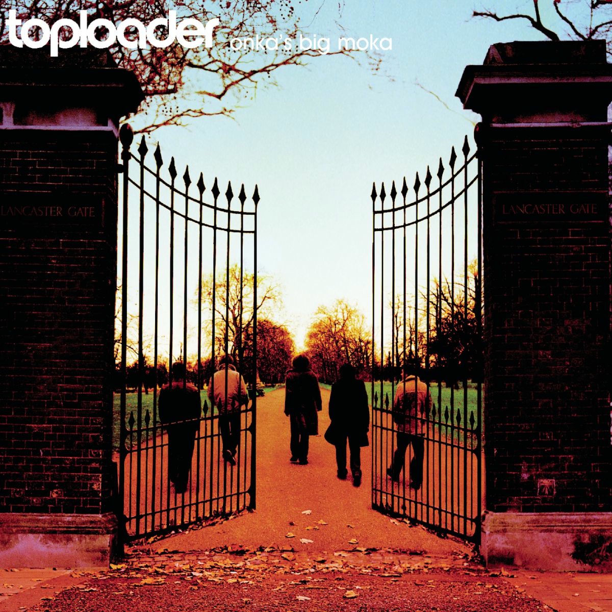 Album cover of Dancing in the Moonlight