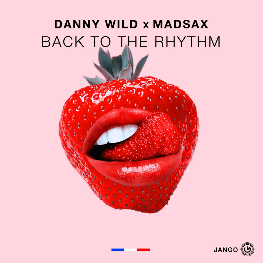 Picture of Back to the Rhythm