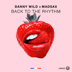 Cover of Back to the Rhythm