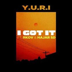 Cover of I Got It