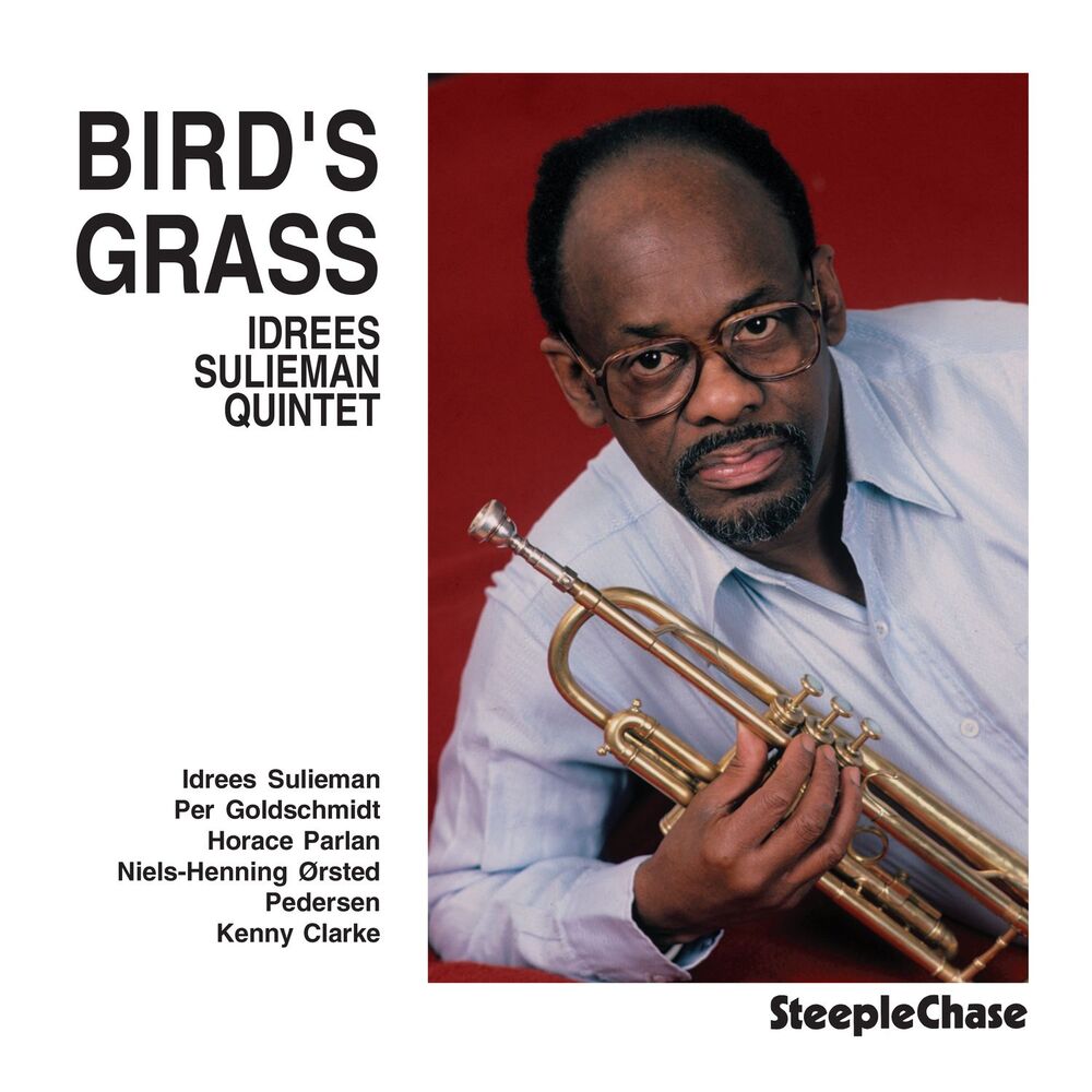 Picture of Bird's Grass