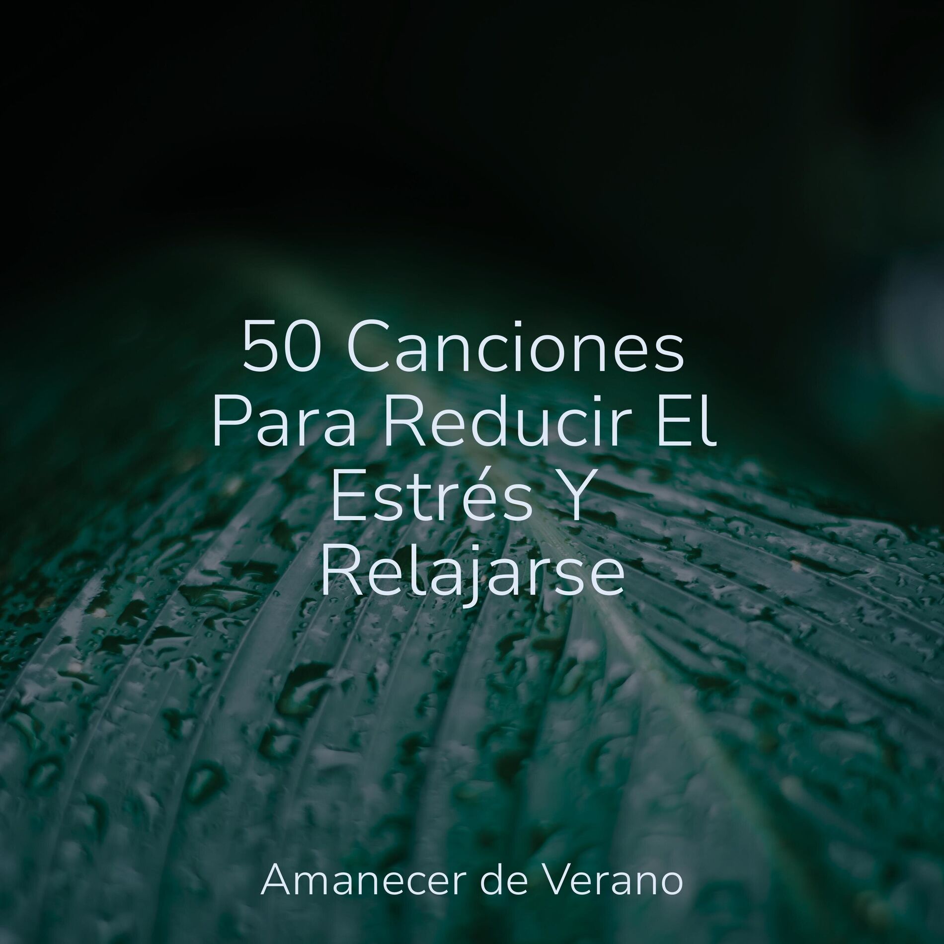 Album cover of 50 Canciones Para Reducir El Estrés Y Relajarse