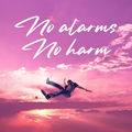 No Alarms No Harm