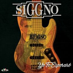 Cover of Yo Te Esperaré