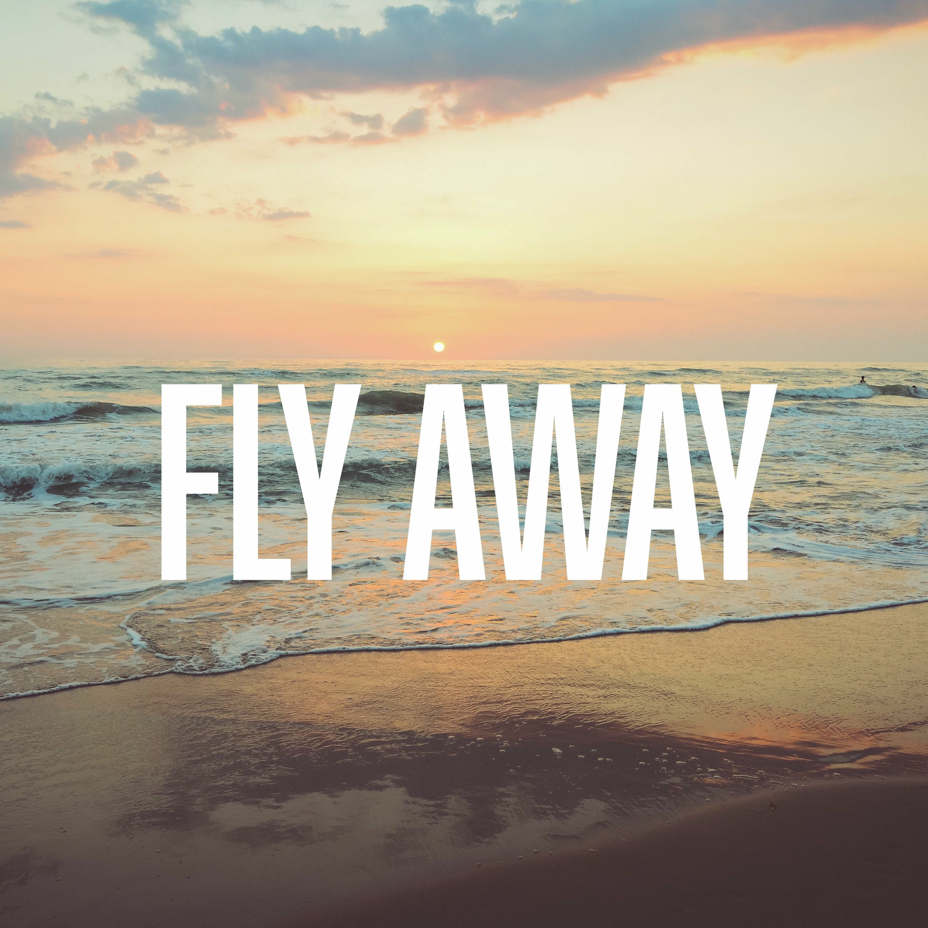 Album cover of Fly Away