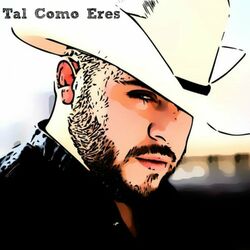 Cover of Tal Como Eres