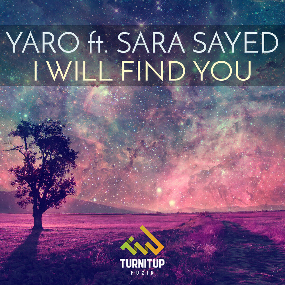 Picture of I Will Find You