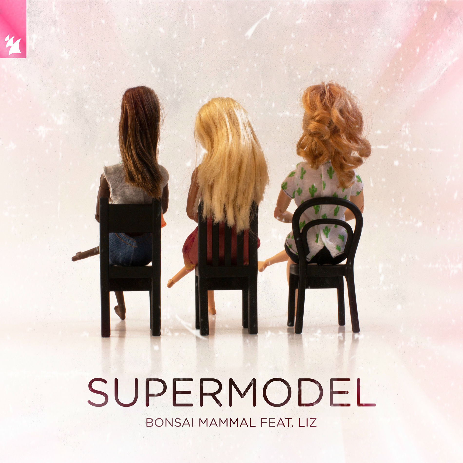 Album cover of Supermodel