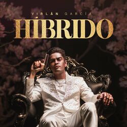 Cover of Híbrido