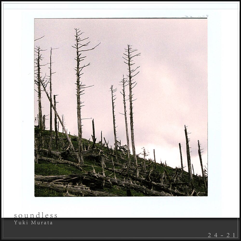 Picture of soundless