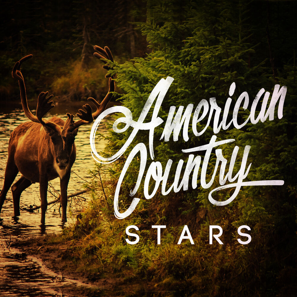 Picture of American Country Stars