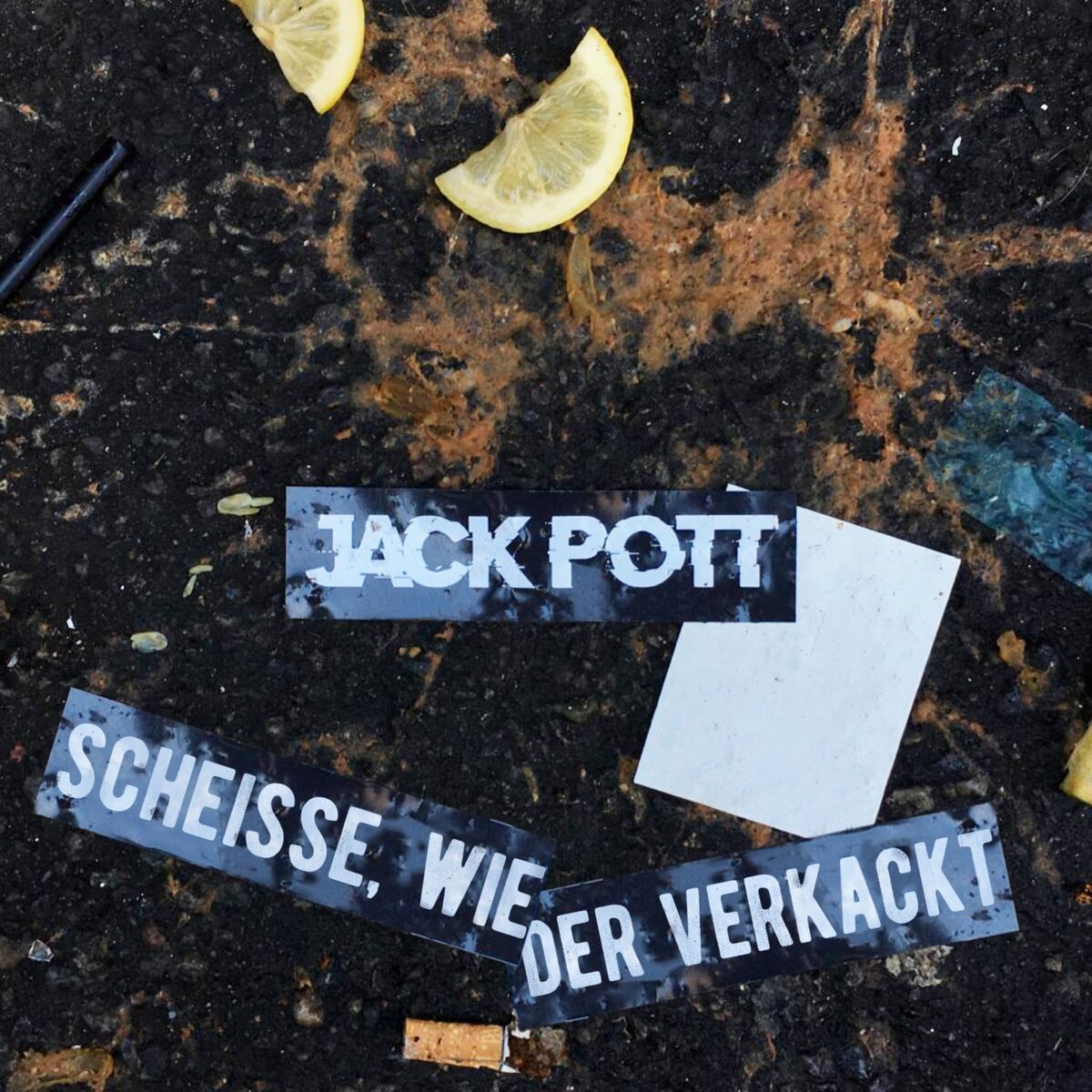 Album cover of Scheisse, wieder verkackt