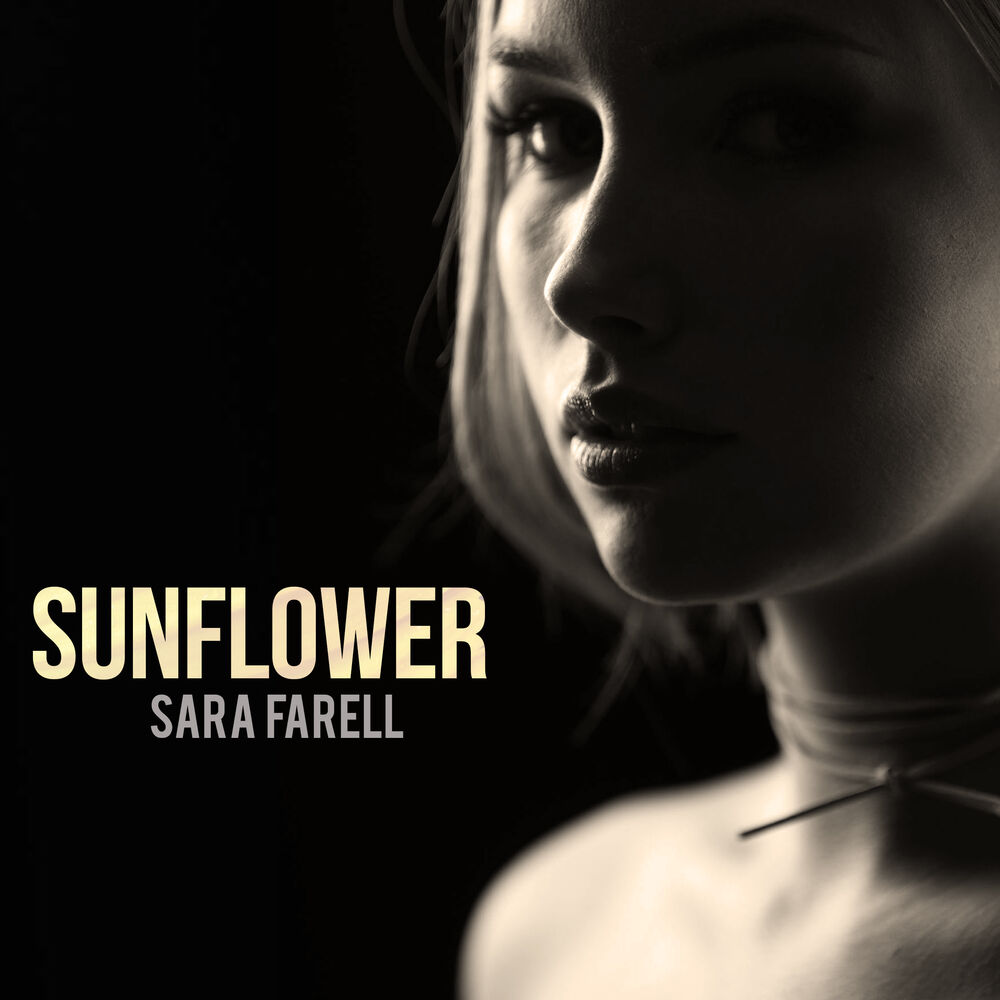 Picture of Sunflower