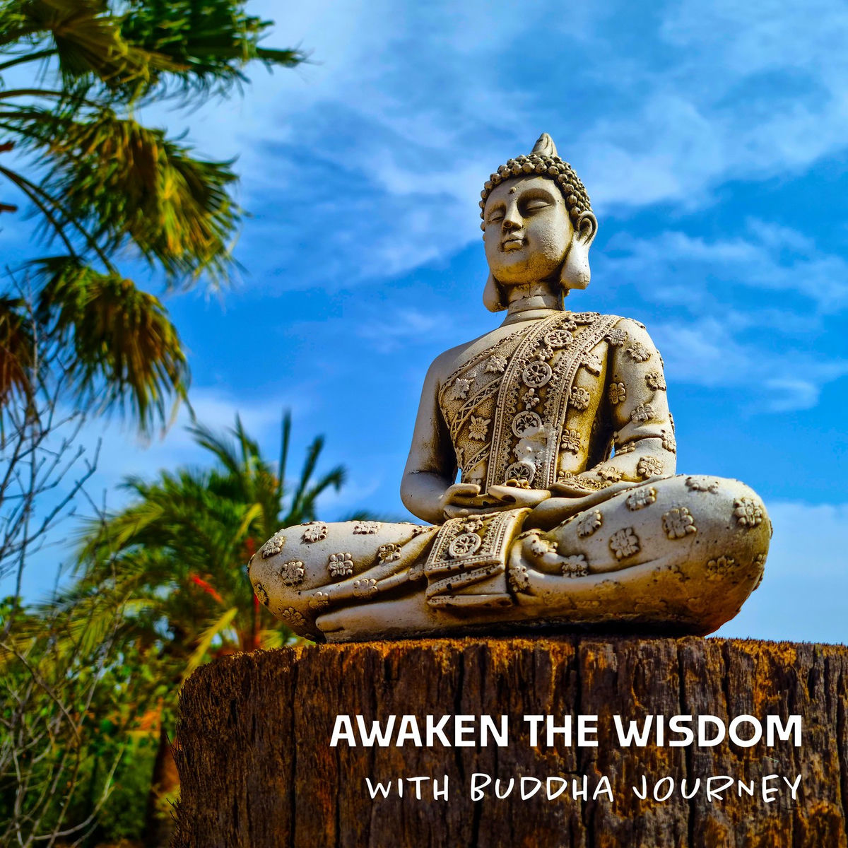その他 Quick Wisdom With Bliss: Buddhism In 30 Minutes [DVD] Import Quick Wisdom With Bliss: Buddhism In 30 Minutes [DVD] Import