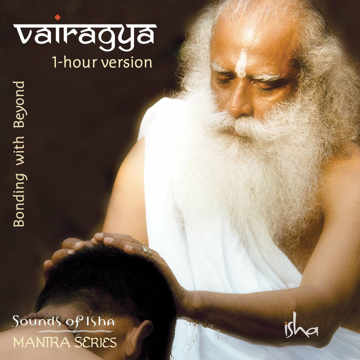 Album cover of Brahmananda Swarupa (1-Hour Version)