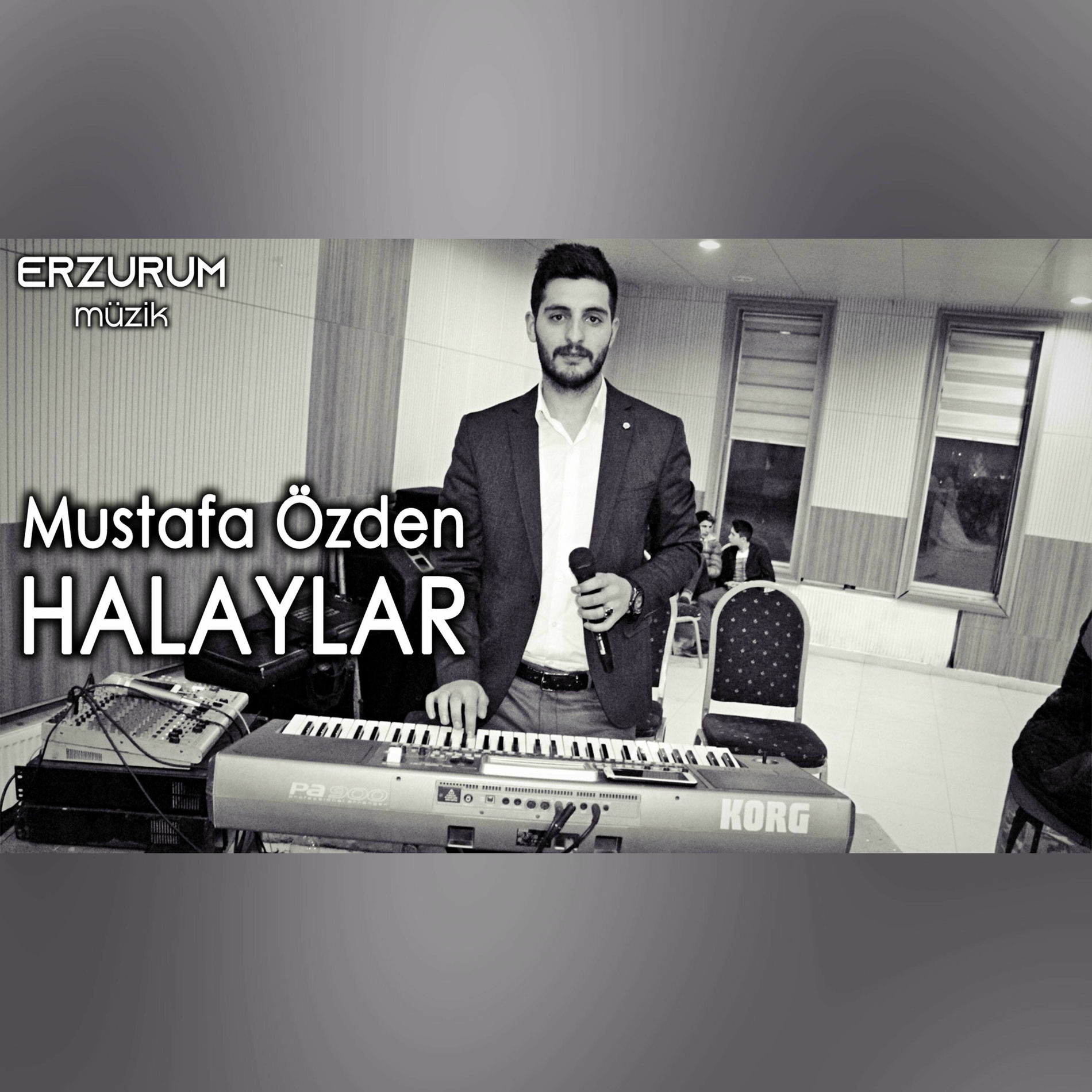 Album cover of Halaylar