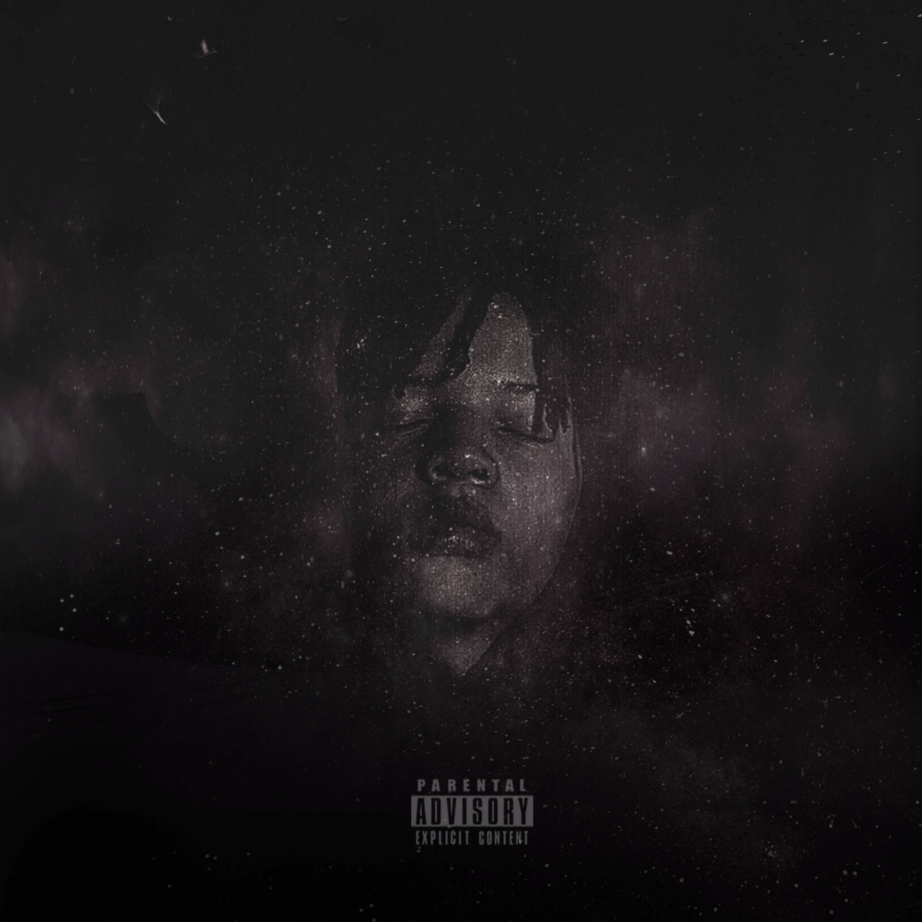 Album cover of The Constellation