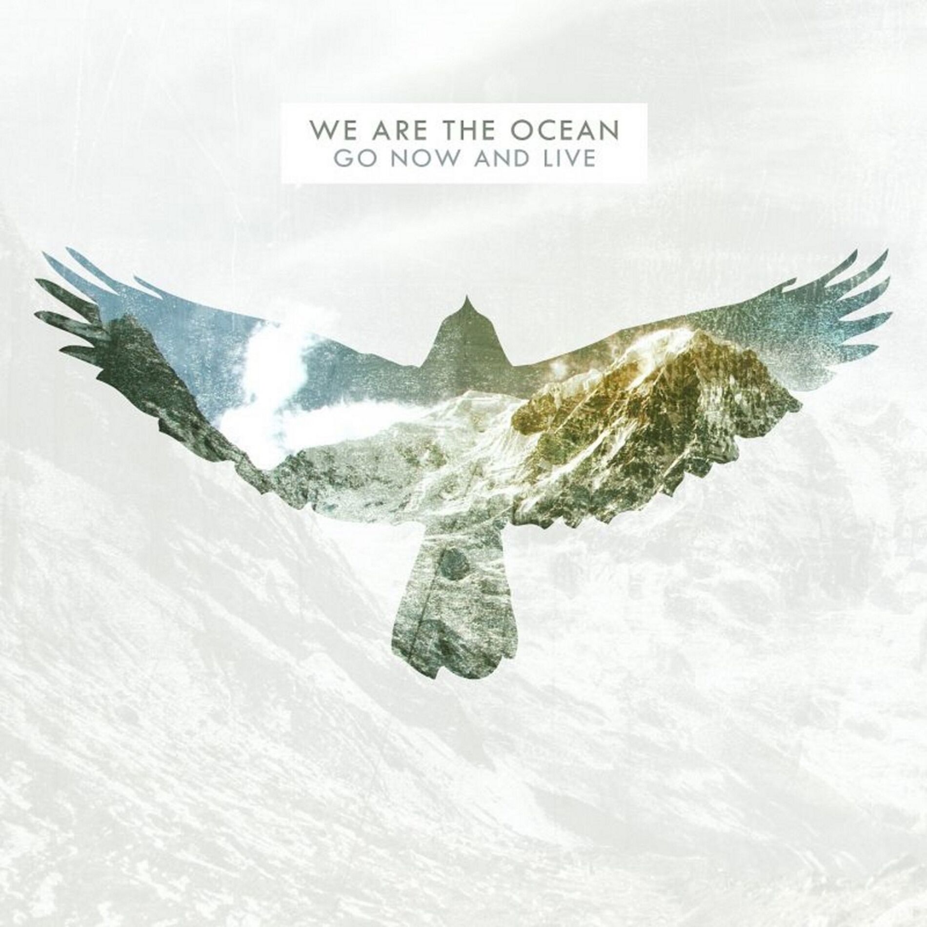 Album cover of Go Now and Live