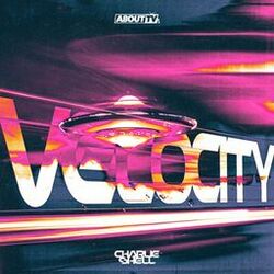 Cover of Velocity