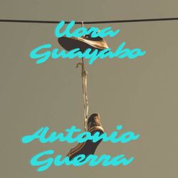 Cover of Llora guayabo