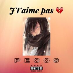 Cover of J't'aime pas