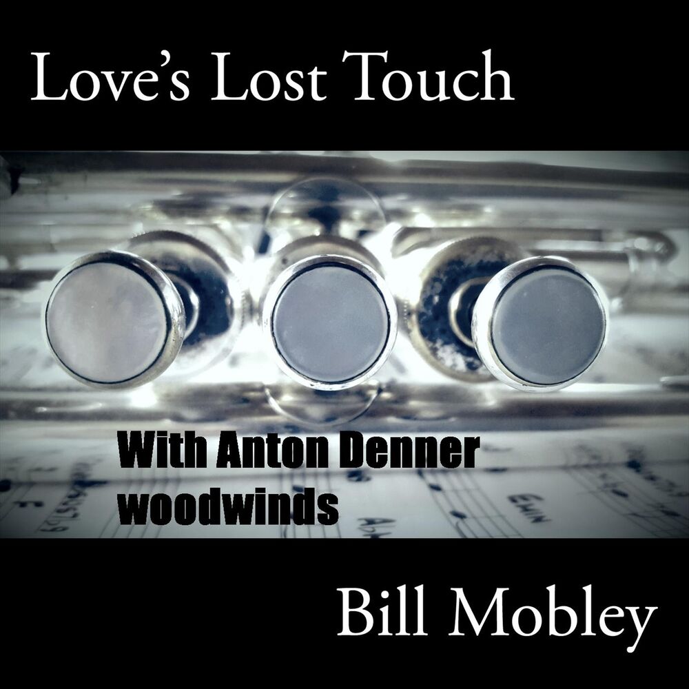 Picture of Loves Lost Touch
