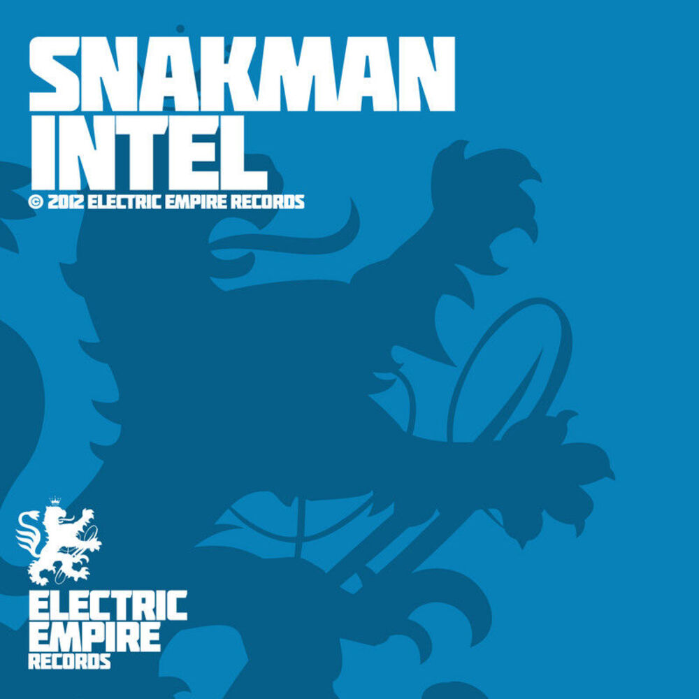 Picture of Intel