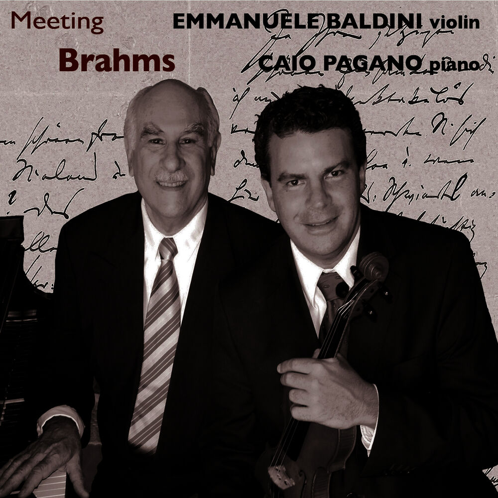 Picture of Meeting Brahms