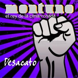 Cover of Desacato