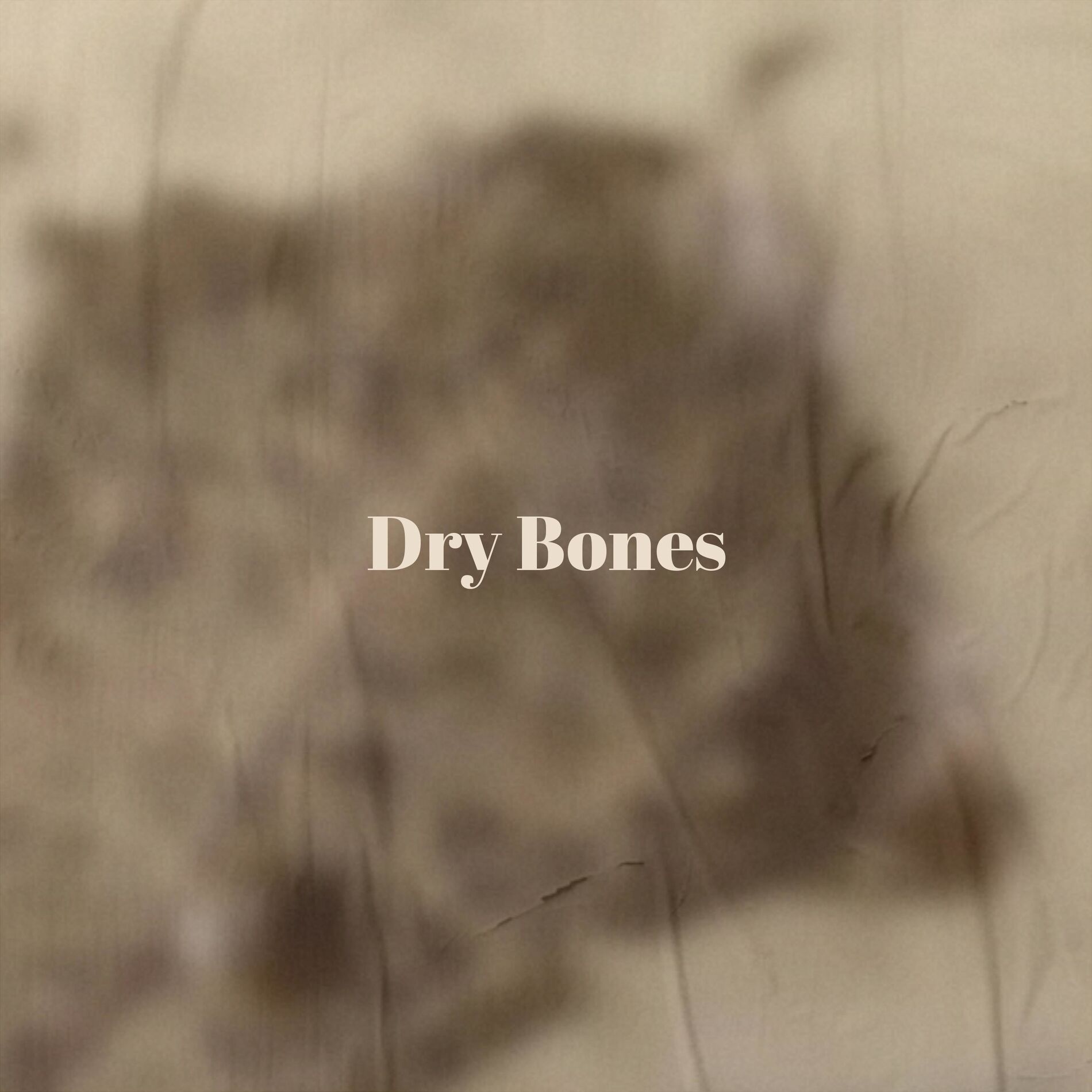 Album cover of Dry Bones